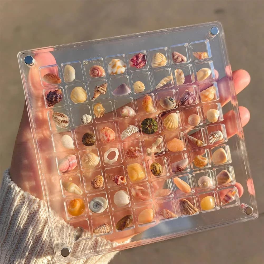 36 64 Grids Seashell Display Box Acrylic Magnetic Seashell Display Case Organizer Box Jewelry Storage Box Stackable Small Craft Compartment Box 36 64 Grids Seashell Display Box Acrylic Magnetic Seashell Display Case Organizer Box Jewelry Storage Box Stackable Small Craft Compartment Box 64 Grid